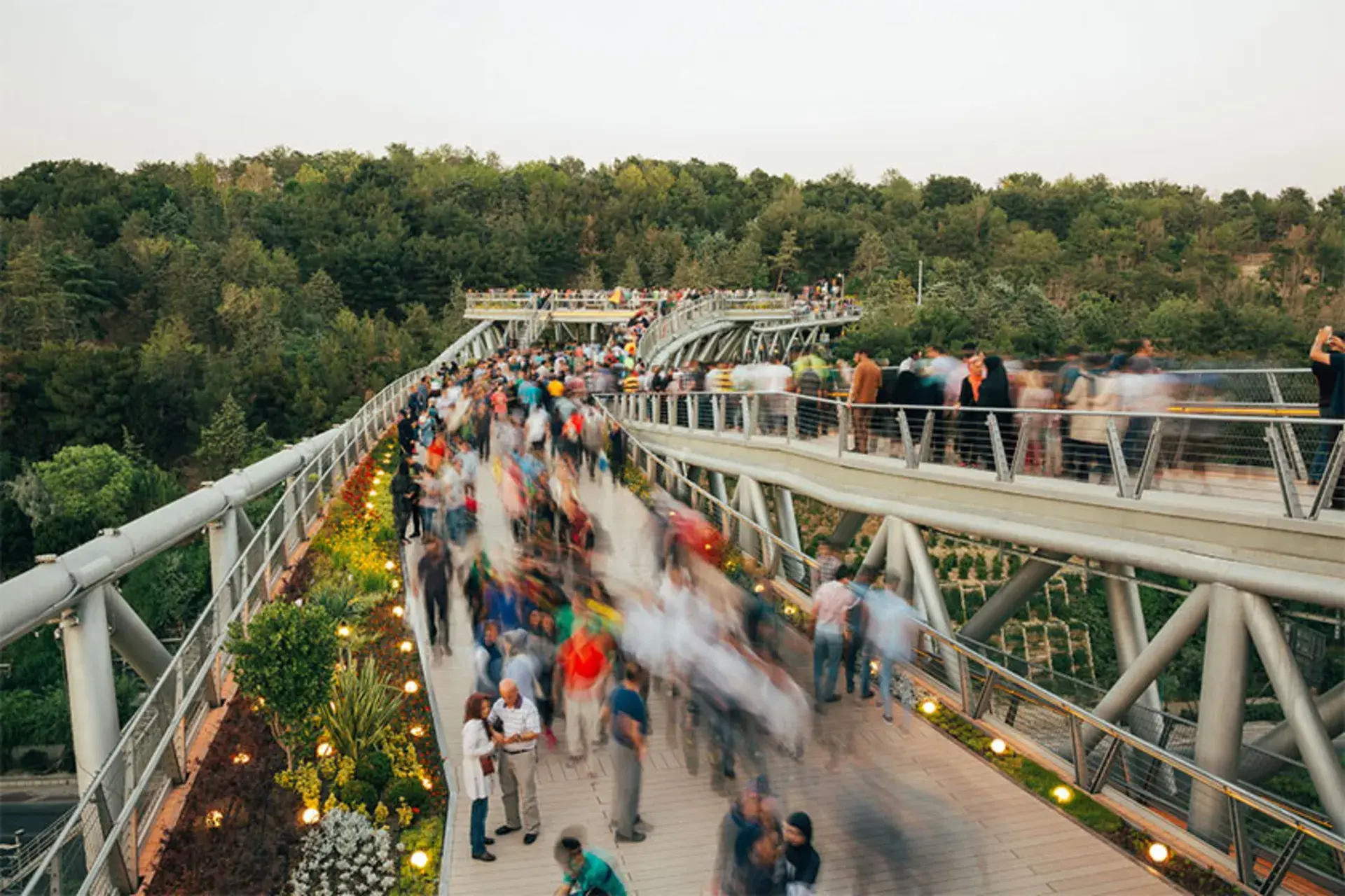 Experiencing the Multi-Layered Nature Bridge
