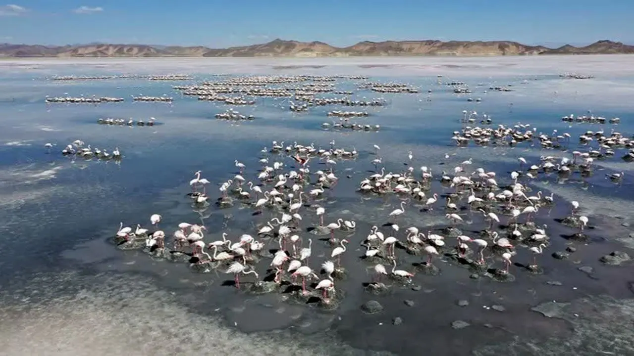 The Twin Lake System: Tashk and Bakhtegan