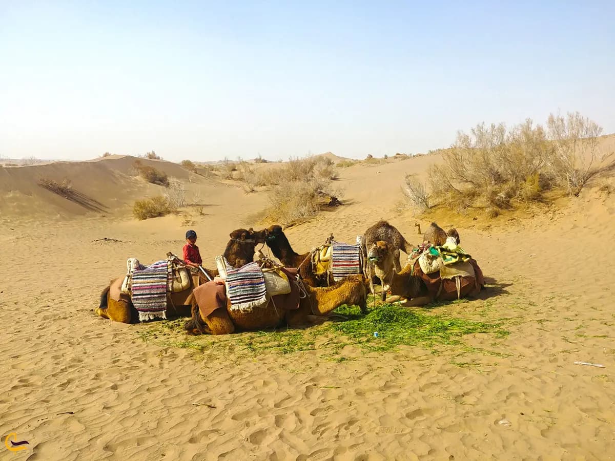 A Landscape of Stunning Contrasts